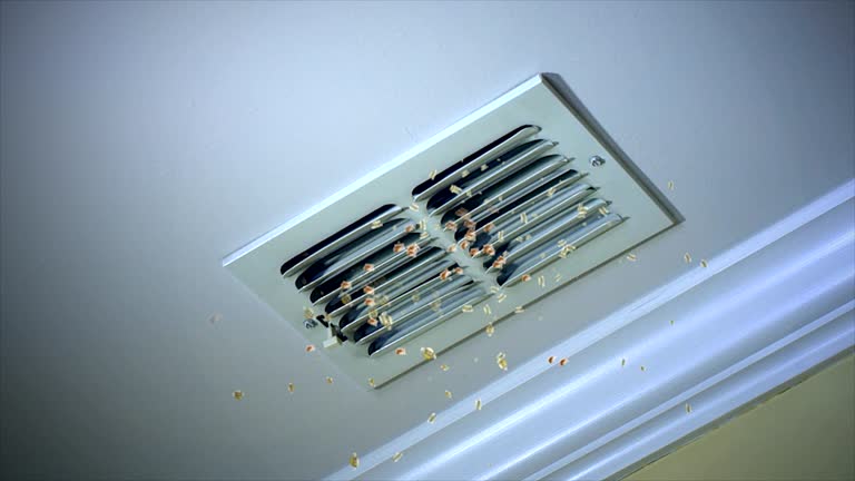 Best Affordable Air Duct Cleaning  in Willowbrook, CA